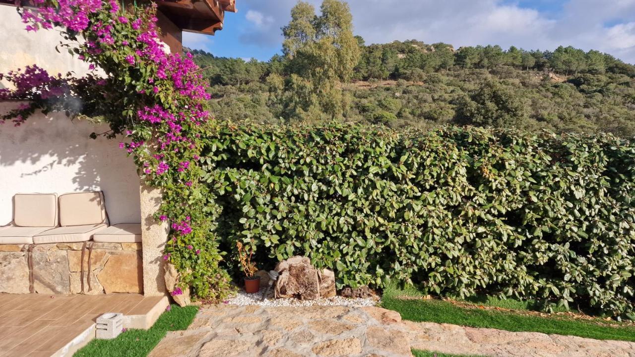 Villa Rifugio Monte Pino à Telti Extérieur photo